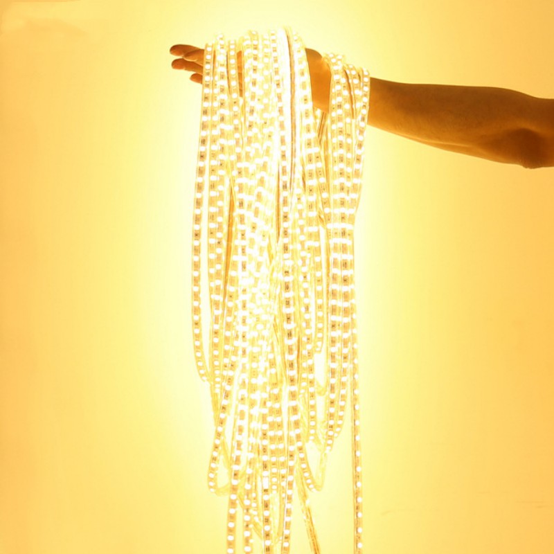 AC220V SMD 5050 LED Strips Lig - Outdoor Power Strip Weatherproof 评论和价格